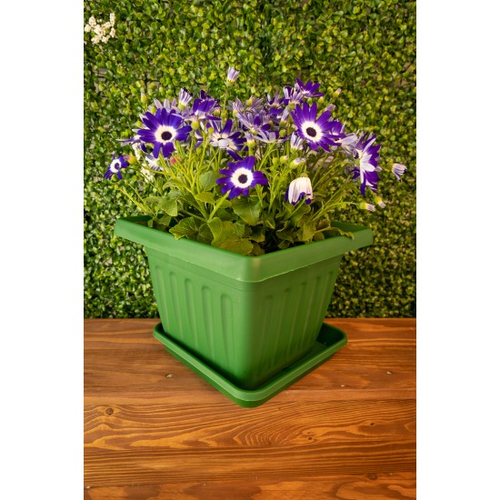 Plant Pot Saucers Square Green